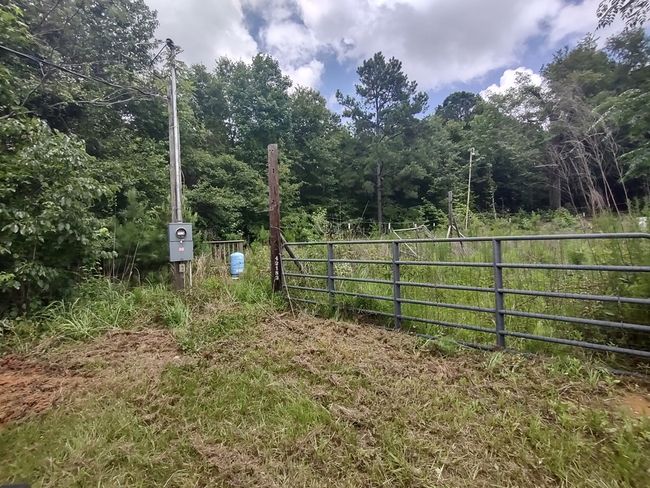 1100 Sapp Rd, House other with 3 bedrooms, 3 bathrooms and 3 parking in Dry Branch GA | Image 23