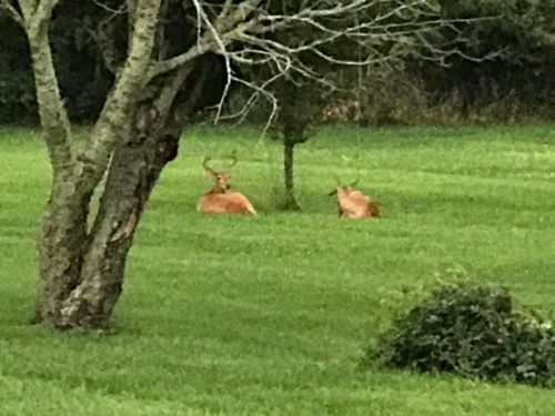 18311 Clark St, Lowell, IN, 46356 | Card Image