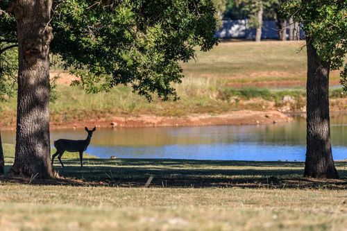 20-312 Interlaken St, Fredericksburg, TX, 78624 | Card Image