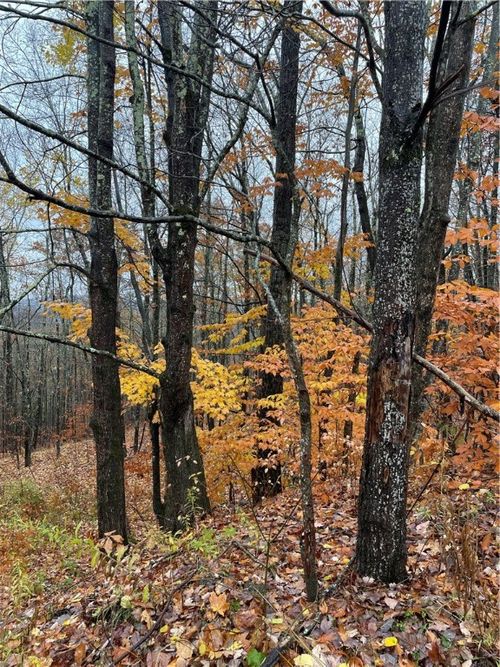 16 Silver Mine Road, Blenheim, NY, 12093 | Card Image