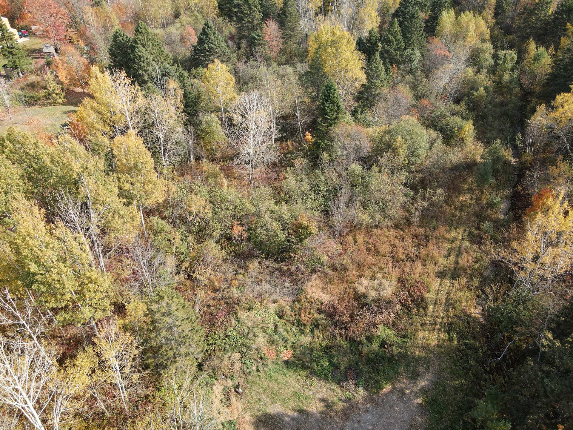 Land in Saint-Gabriel-Lalemant 2