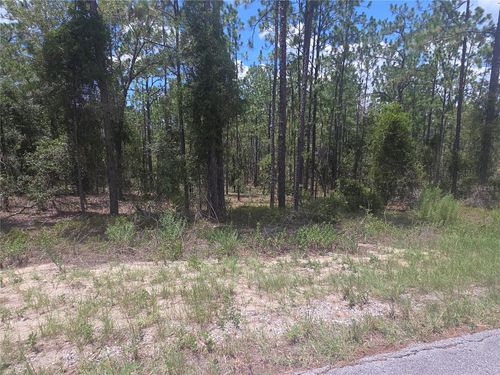 Lot 34 Se 128th Ave, Dunnellon, FL, 34431-7732 | Card Image