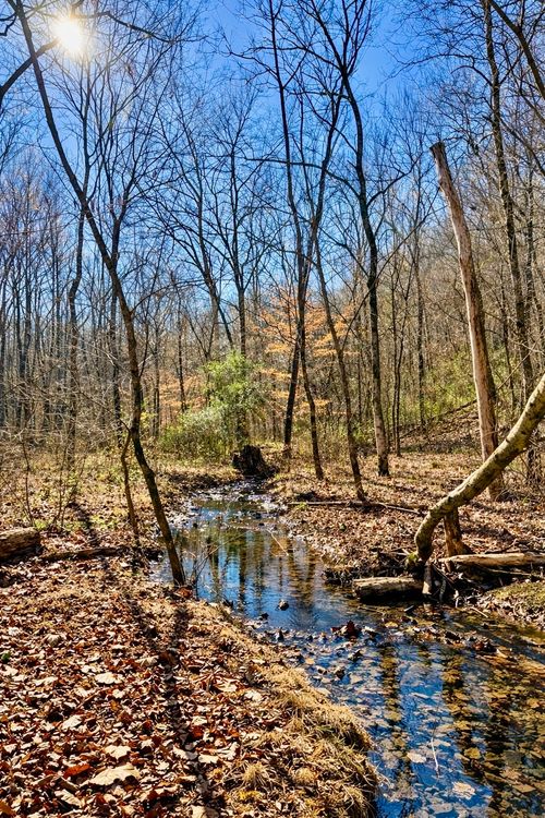 0 Highway 128, Linden, TN, 37096 | Card Image