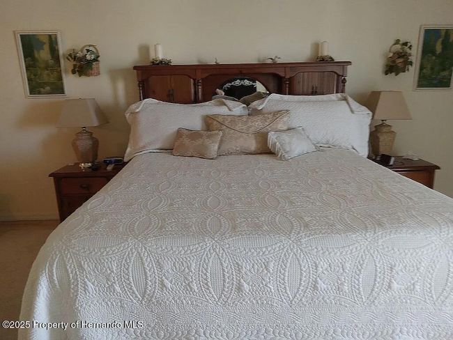 3519 Cobia Dr, House other with 3 bedrooms, 3 bathrooms and null parking in HERNANDO BEACH FL | Image 32