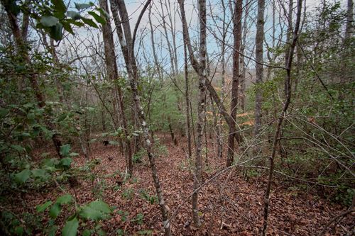 Lot 6 Posey Pl, Murphy, NC, 28906-6272 | Card Image