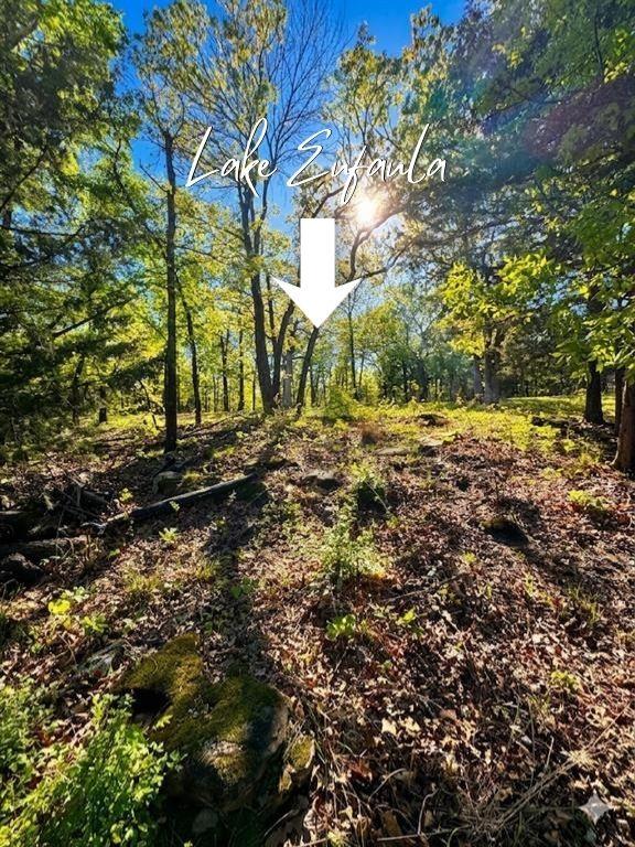 Land in Eufaula 4