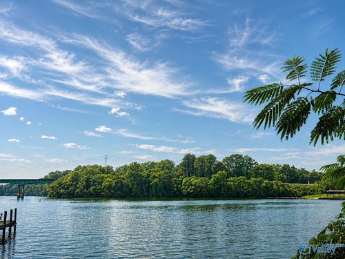 Tract A & B River Pt, Cedar Bluff, AL, 35959 | Card Image