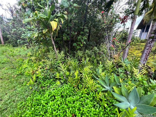 0 Wehelauniu St, Home with 0 bedrooms, 0 bathrooms and null parking in Pahoa HI | Image 7