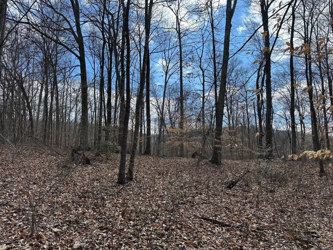 126 Northcutts Cove Rd, Home with 0 bedrooms, 0 bathrooms and null parking in Beersheba Springs TN | Image 12