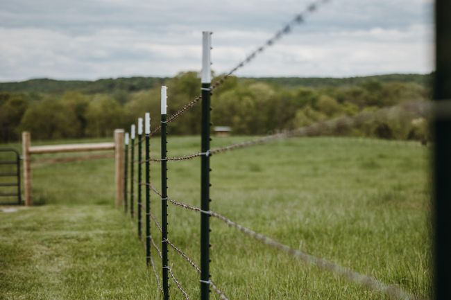 HF7A9350 | Image 51
