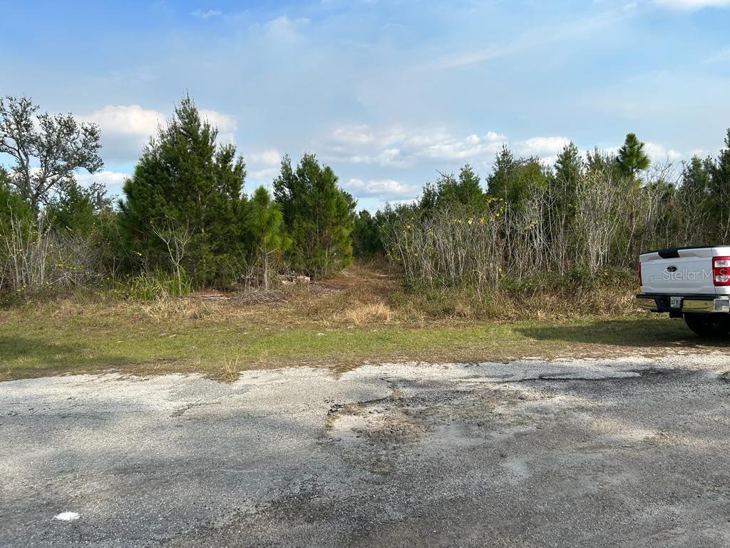 Land in LEHIGH ACRES 3