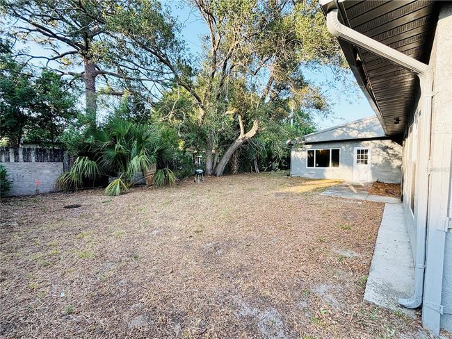 Backyard | Image 10