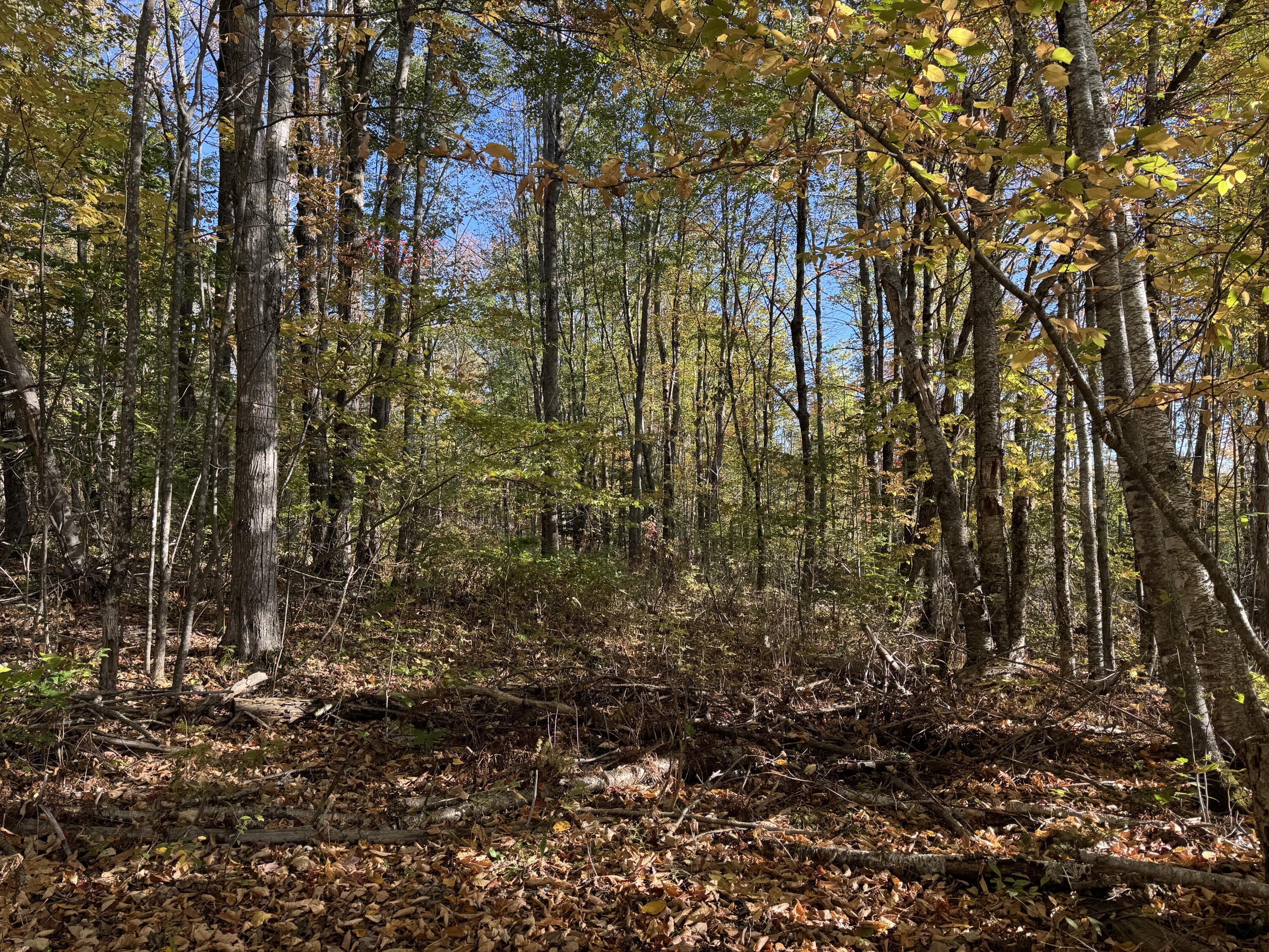 Land in Saint Albans 4