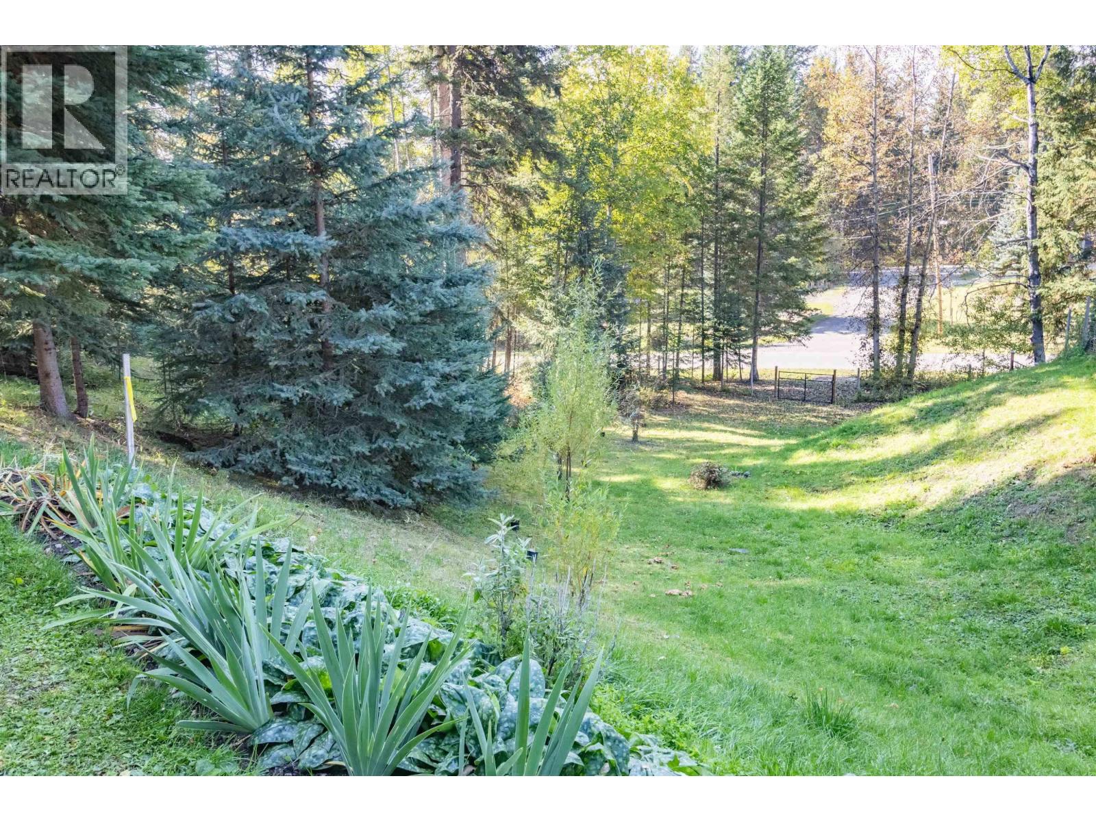 Land in Canim Lake 2