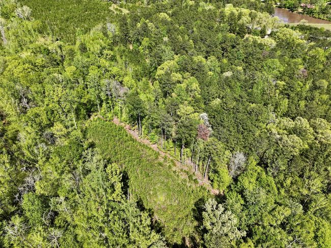 0 Ga Highway 87, Home with 0 bedrooms, 0 bathrooms and null parking in Juliette GA | Image 12