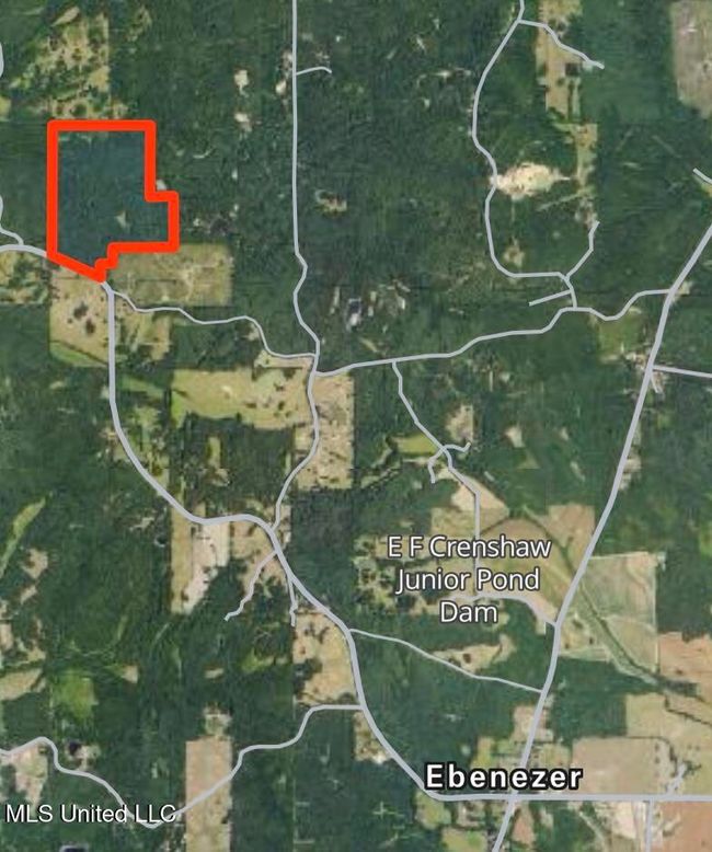 hunting tract | Image 22