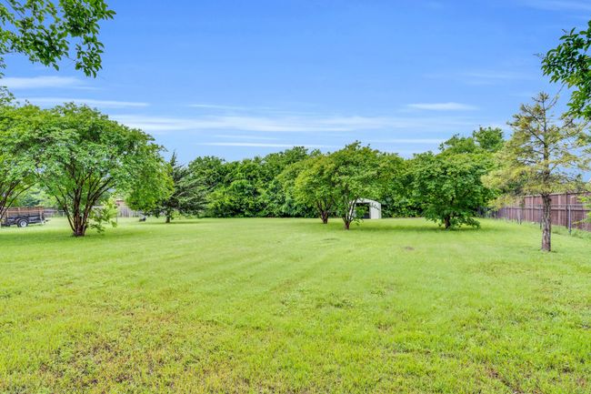 View of yard with fence | Image 5