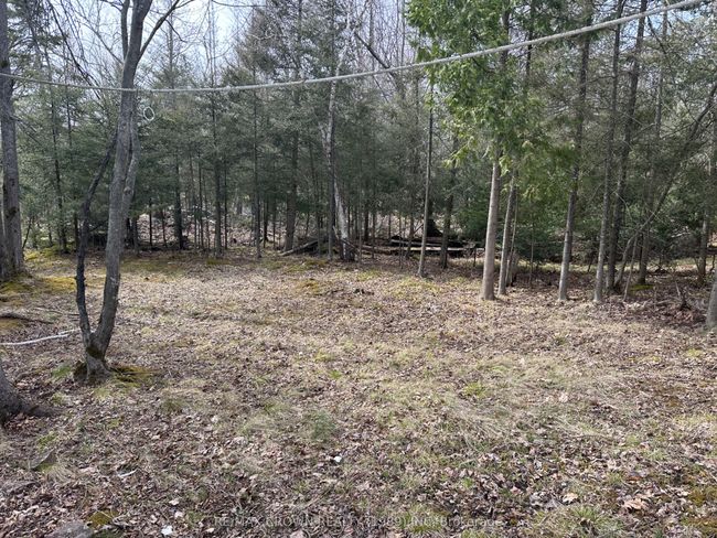 LT 12 Smith Island, Home with 0 bedrooms, 0 bathrooms and null parking in Callander ON | Image 10
