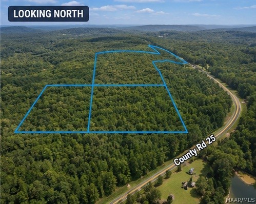 Land in Heflin 4