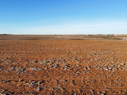 6705 Tiger Rd, Ropesville, TX, 79358-5401 | Card Image