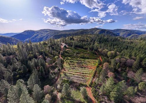 10571 Sebastopol Rd, North San Juan, CA, 95960 | Card Image