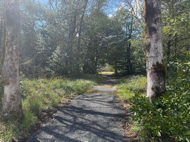 260 Path to the River | Image 23
