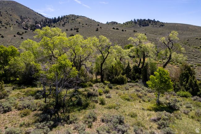 View of mountain background | Image 6