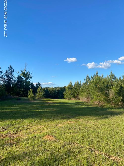 Tbd County Road 48, Gloster, MS, 39638 | Card Image