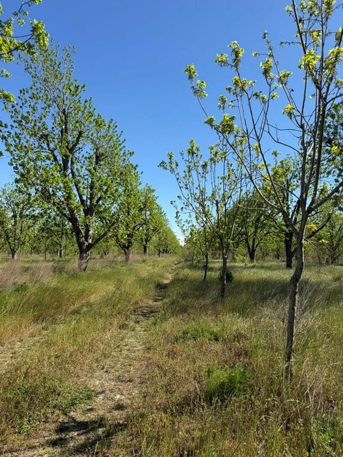 Tract 2A Ganas Road, Naylor, GA, 31641 | Card Image