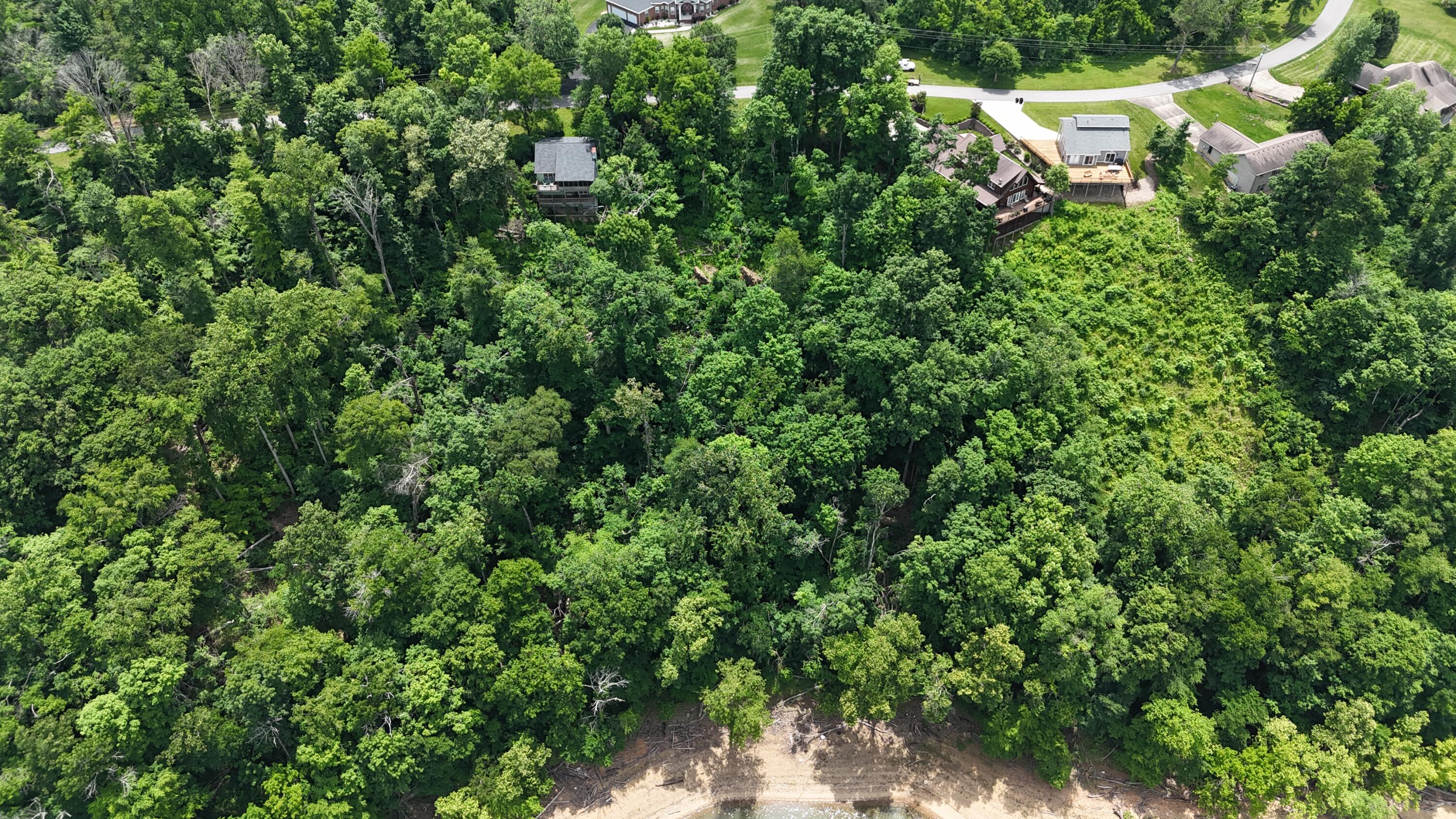 Land in Jamestown 2