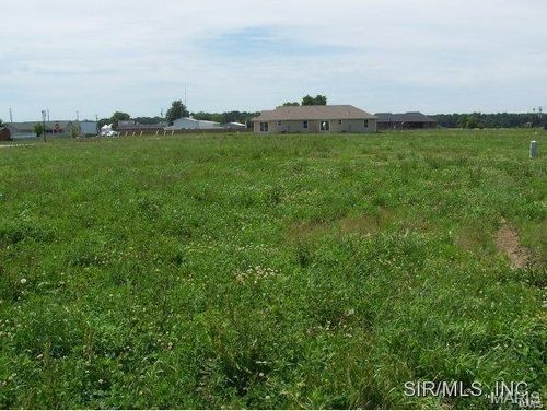 652 Hailie St, Saint Libory, IL, 62282-0139 | Card Image