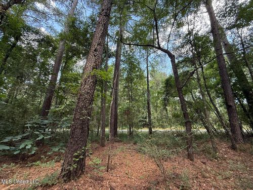 1.72 Acres Crosby Rd, Seminary, MS, 39479 | Card Image