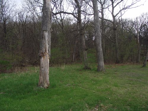 lot 012 Tuscola Ave, Saint Charles, IL, 60174 | Card Image