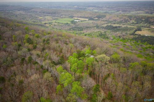 18739B County Road 89, Mentone, AL, 35984 | Card Image