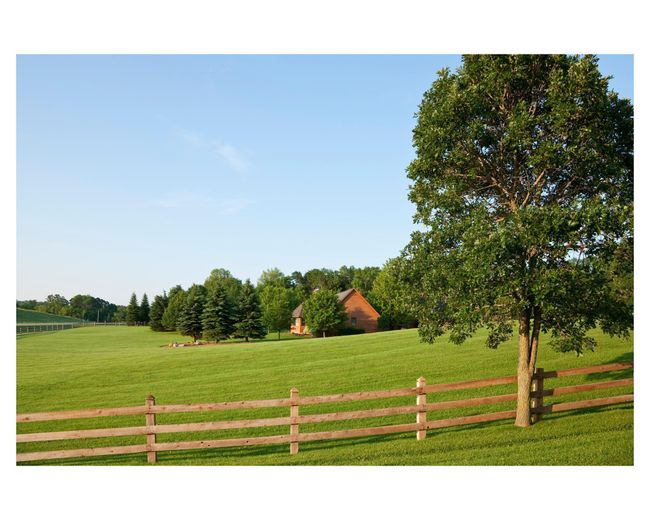 Run free though the spacious grounds | Image 38