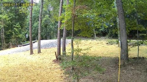 LOT 195 Shenendoa Dr, Ellijay, GA, 30540 | Card Image