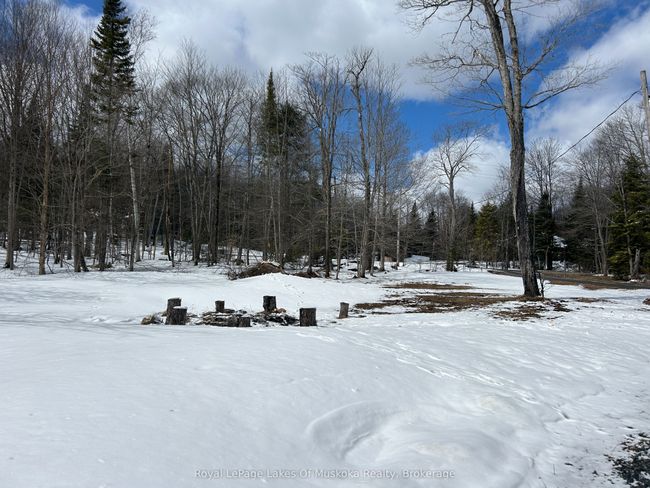 1807 Old Muskoka Rd, House other with 3 bedrooms, 3 bathrooms and 4 parking in Utterson ON | Image 18