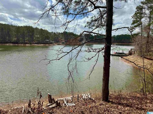 6-Lot 6 County Road 813, Wedowee, AL, 36278-6276 | Card Image