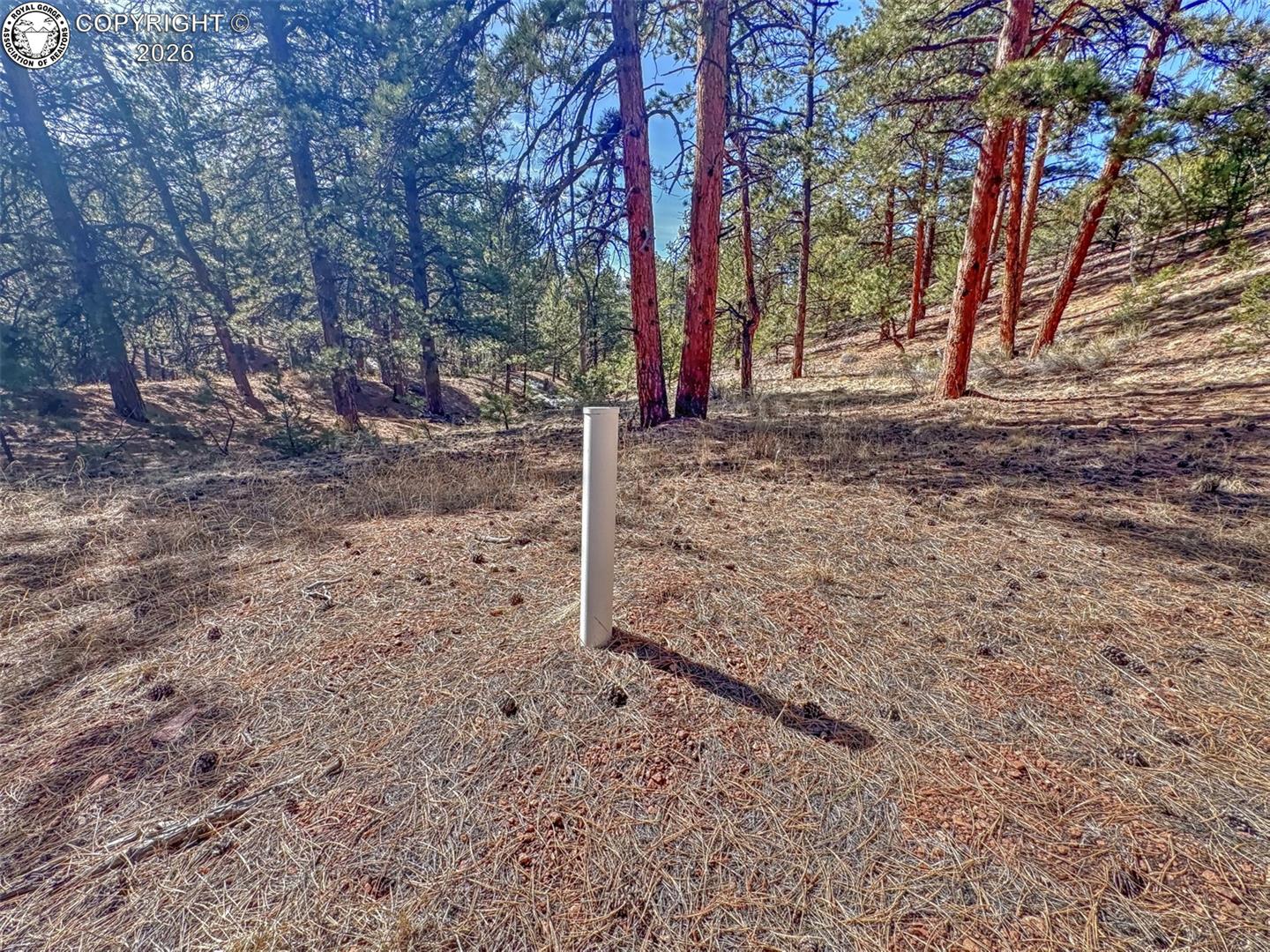 Land in Westcliffe 5