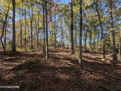 239 Sewell Dr, Allardt, TN, 38504-2201 | Card Image