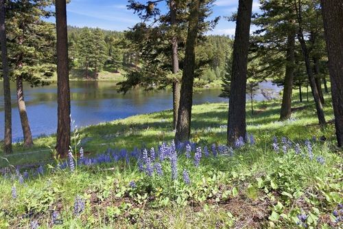 Lot 3 Big Waters Ranch Road, Seeley Lake, MT, 59868 | Card Image