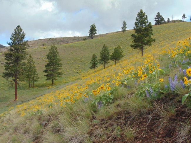 27235 Lazy Springs Rd, Home with 0 bedrooms, 0 bathrooms and null parking in Clinton MT | Image 12