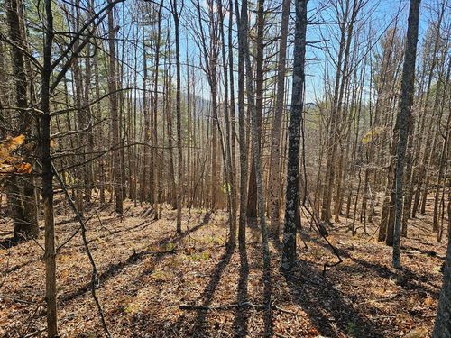 1248 Buck Trl, Woodlawn, VA, 24381 | Card Image