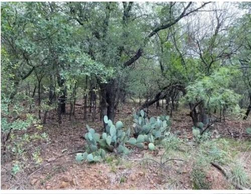 0 Ne 8th Ave, Mineral Wells, TX, 76067 | Card Image
