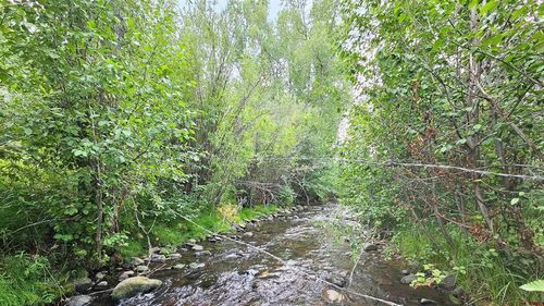 12 Yund Subdivision On Cr14, Del Norte, CO, 81132 | Card Image