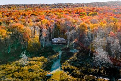 1623 Sand Run Road, House other with 4 bedrooms, 3 bathrooms and 3 parking in Davis WV | Image 3