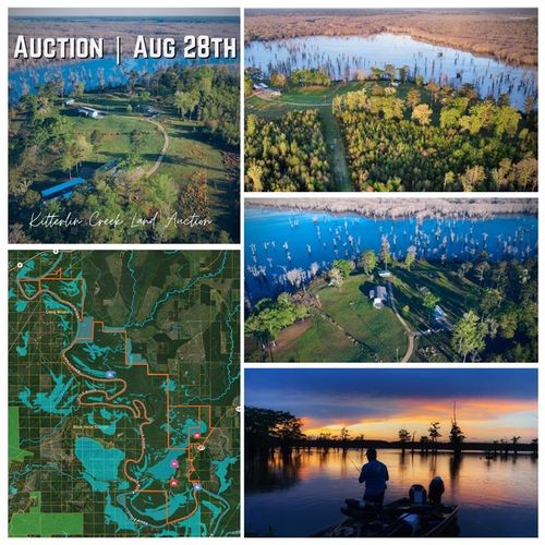 234 Kitterlin Creek Road, Jena, LA, 71342 | Card Image
