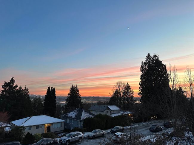 View of nature | Image 6