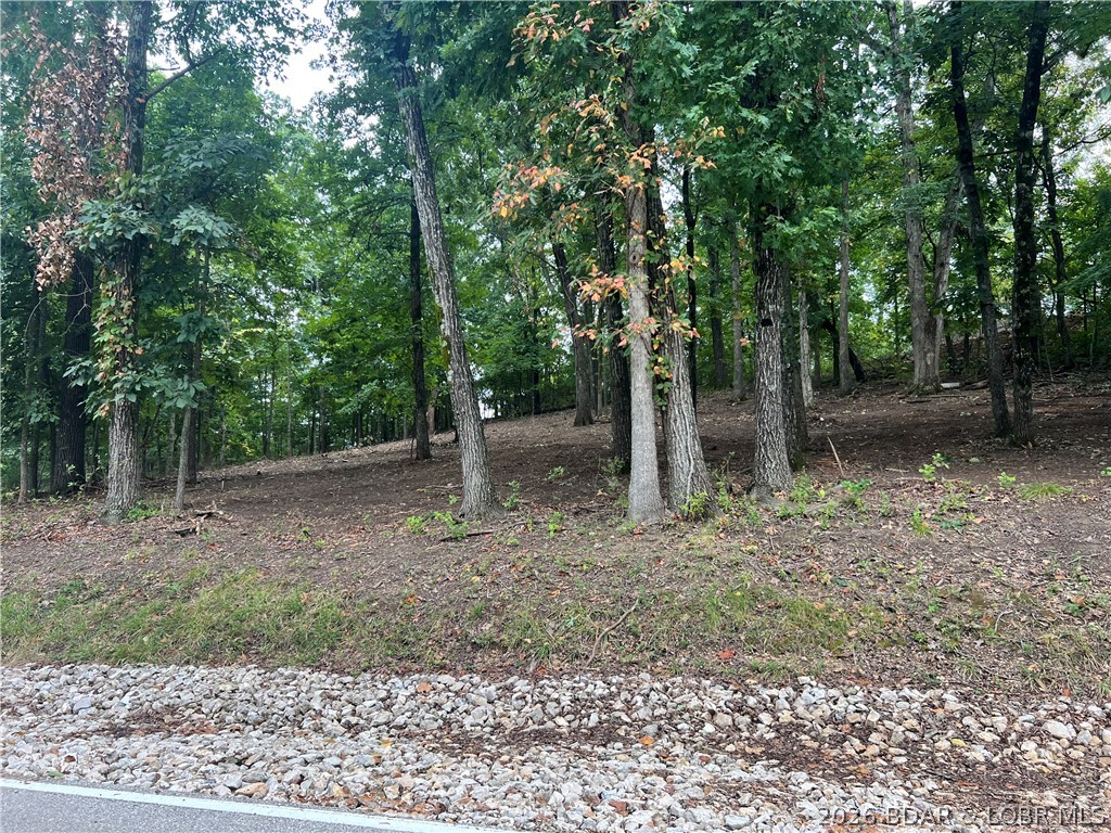 Land in Lake Ozark 2