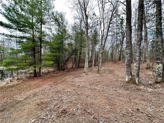 16 295th Street, Home with 0 bedrooms, 0 bathrooms and null parking in Holcombe WI | Image 42